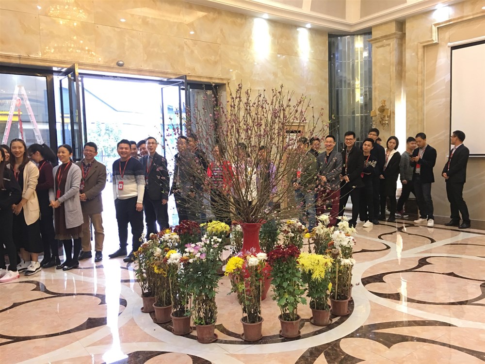 20190222160254894 九洲国际官网-相信品牌力量