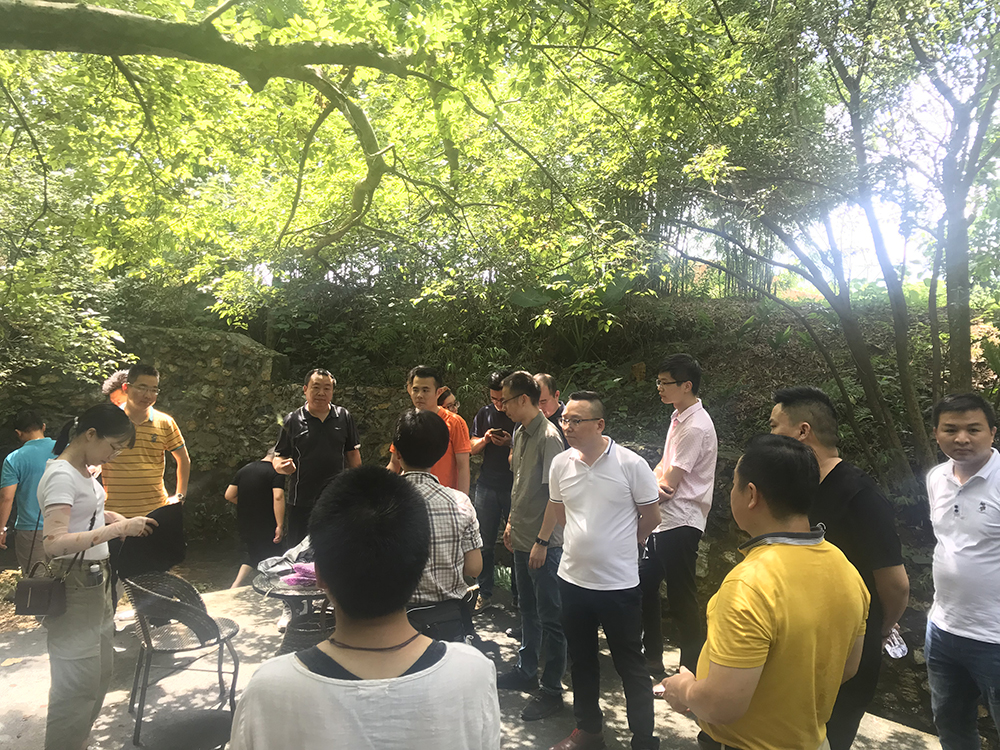 20190828153046010 乿´²å›½é™…官网-相信å“牌力é‡