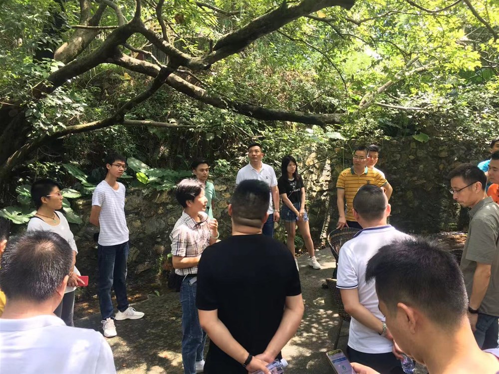 20190828153056972 乿´²å›½é™…官网-相信å“牌力é‡