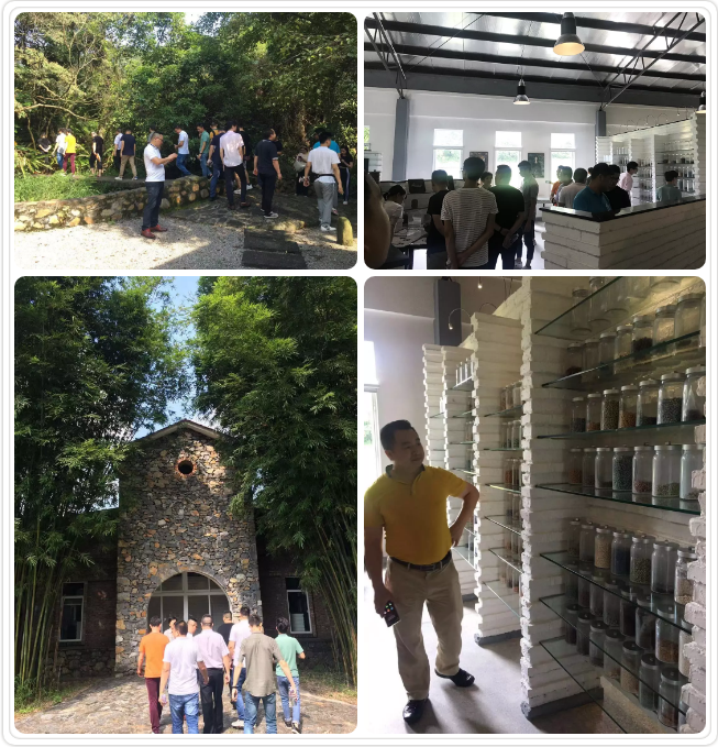 20190828153103531 乿´²å›½é™…官网-相信å“牌力é‡